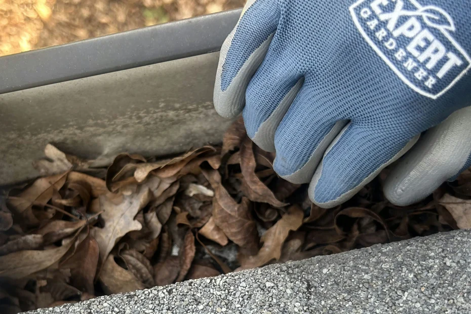 Gutter Cleaning San Antonio FL