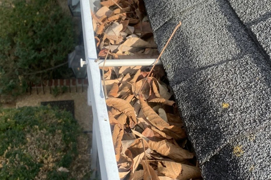 Gutter Cleaning San Antonio FL