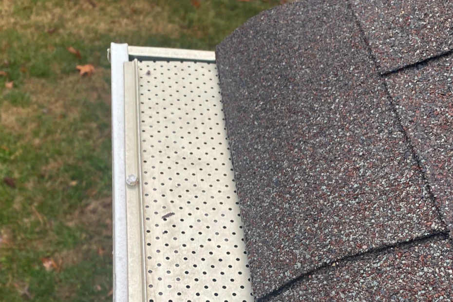 Gutter Cleaning San Antonio FL